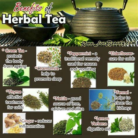 Health And Beauty - Benefits Of Herbal Tea #2034173 - Weddbook