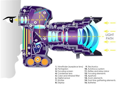 What is a DSLR Camera? | PetaPixel