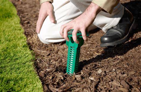 4 Types of Termite Control | Termite Treatment Methods