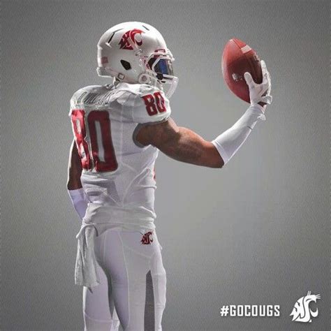 Washington State whiteout | Football uniforms, Nfl football, Football