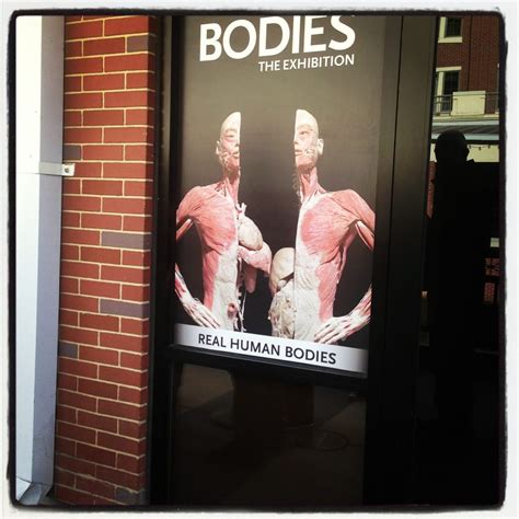 BODIES...The Exhibition - Last Updated June 2017 - 11 Photos & 61 Reviews - Museums - 265 18th ...