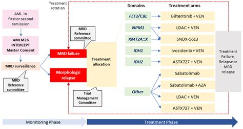 IJMS | Free Full-Text | Targeting Measurable Residual Disease (MRD) in Acute Myeloid Leukemia ...