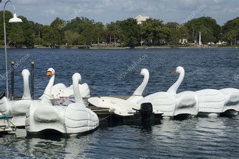 Swan Boats at Lake Eola Park ⬇ Stock Photo, Image by © jacksonjesse ...