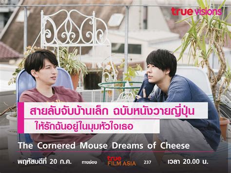 สายลับจับบ้านเล็กฉบับวาย "The Cornered Mouse Dreams of Cheese"