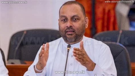 Wildlife Minister to Pinnawala to see twin baby elephants - Hiru News - Srilanka's Number One ...