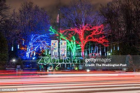 Dc Zoo Lights Photos and Premium High Res Pictures - Getty Images