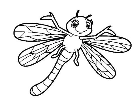 Cute Dragonfly Drawing at PaintingValley.com | Explore collection of Cute Dragonfly Drawing