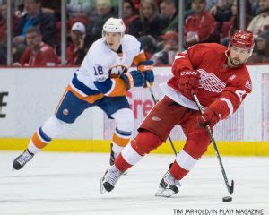 Red Wings vs Islanders February 21 - PIX - In Play! magazine