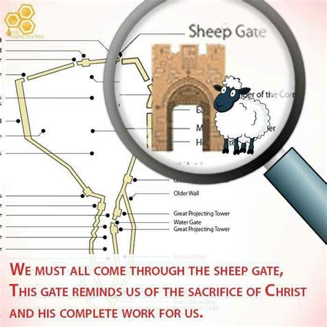 Today's honey🍯 June 19, 2017 The Sheep Gate (The Ten Gates 1) When Nehemiah rebuilt the walls of ...