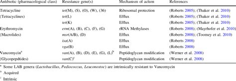 Antibiotic resistance genes most commonly found in LAB | Download Table