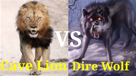 Prehistory animal fight (North American lion VS Dire wolf) who will win - YouTube