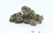 Slapz Weed Strain Reviews, Information & Effects