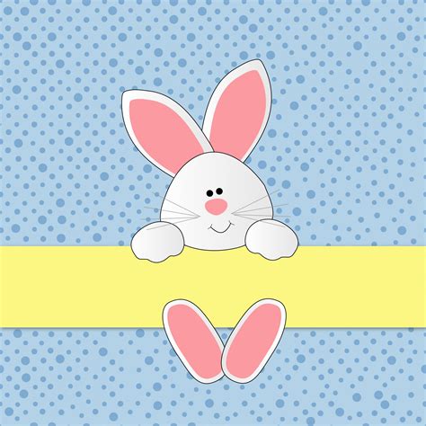 Easter Bunny Cute Background Free Stock Photo - Public Domain Pictures
