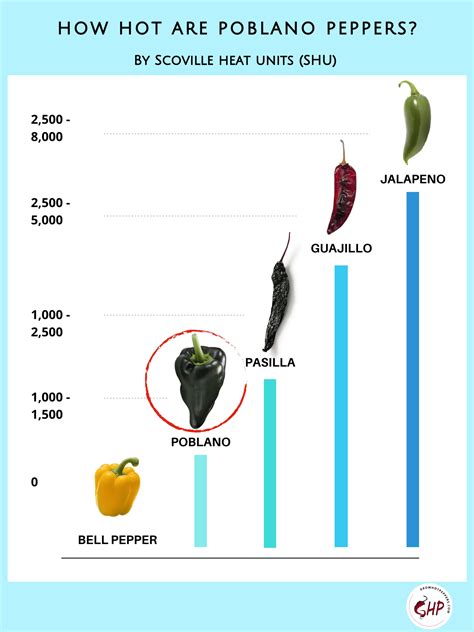 Poblano Peppers: Scoville, Cooking, & Growing + 3 Easy Ways To Roast ...