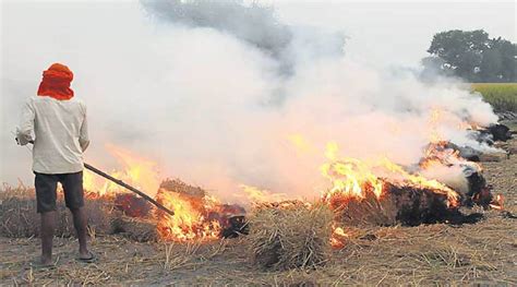 Stubble burning cases up 46% in Punjab, down 28% in Haryana | India News - The Indian Express