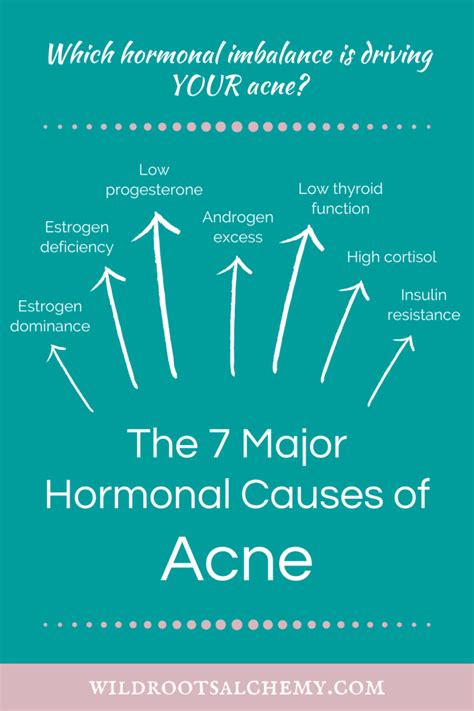 The 7 Major Hormonal Causes of Acne - Wild Roots Alchemy