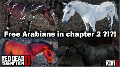 Rdr2 where to find black arabian horse