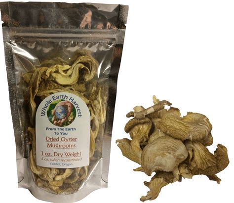 Dried Oyster Mushrooms | Whole Earth Harvest