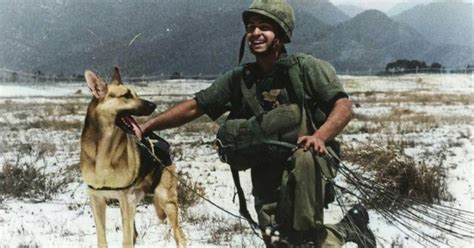 5,000 War Dogs Served in Vietnam and Almost All of Them Were Left Behind