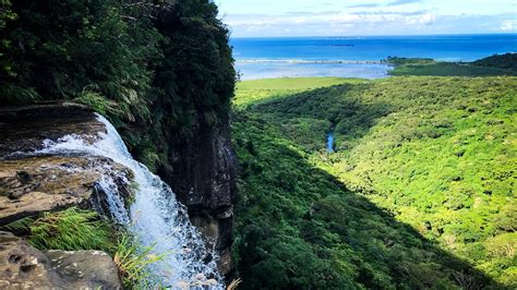 Iriomote Island, Japan: a uniquely remote adventure | Escapism Magazine