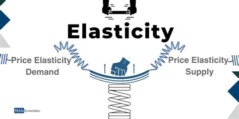 The Price Elasticity of Demand and Supply - maseconomics