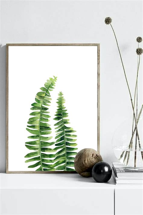 Fern Plant Watercolour. Green Illustration Print. Ferns Leaves | Etsy