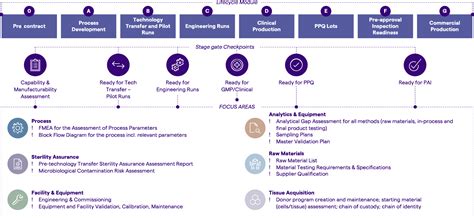 Viral Vectors Manufacturing Services (CDMO) | Lonza