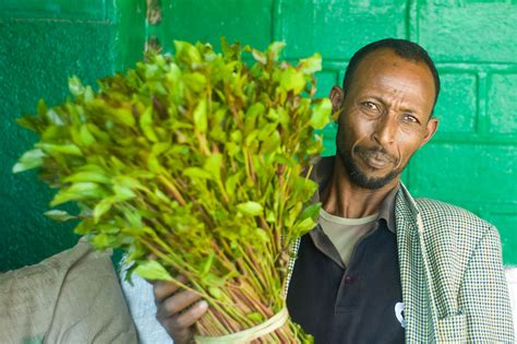 Khat-Dealer in Hargeisa, Somaliland | The drug is grown in E… | Flickr