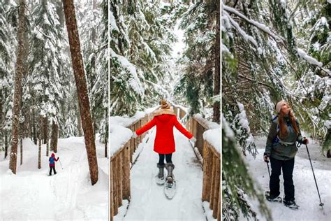 Snowshoeing in Whistler - The Best Whistler Snowshoe Trails