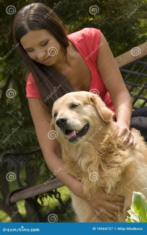 Girl with golden retriever stock image. Image of golden - 10564727