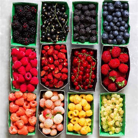 Different fresh berries types - Alphafoodie