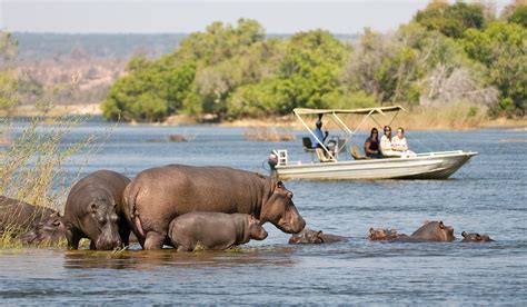 Zambia safaris with Africa Travel Resource