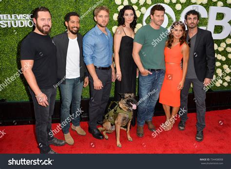 39 Seal Team Cast Images, Stock Photos & Vectors | Shutterstock