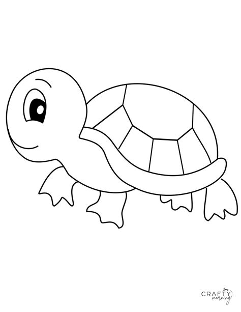 Drawing a Tortoise (Step by Step Tutorial) - Crafty Morning