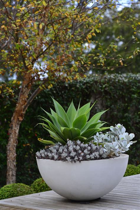 planter: peter fudge | Potted plants outdoor, Garden plant pots ...