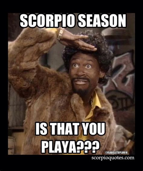 16 Scorpio Season Meme | Scorpio Quotes