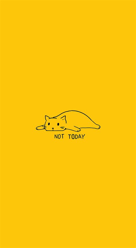 1080P Free download | Yellow Cat, Yellow Aesthetic Cat HD phone wallpaper | Pxfuel