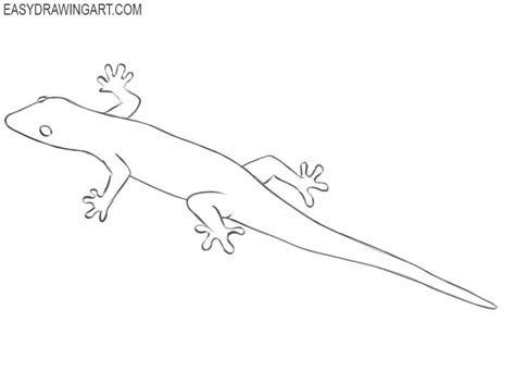 How to Draw a Lizard | Easy Drawing Art | Drawings, Lizard tattoo, Animal coloring pages