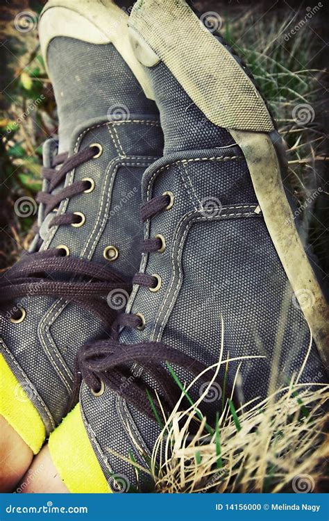 Retro styled sneakers stock photo. Image of plant, lifestyle - 14156000