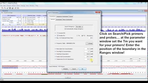 Primer design with Oligo 7 for qPCR (SYBR green detection) - YouTube