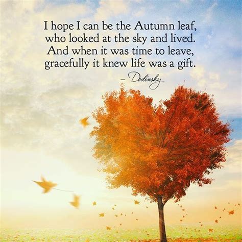 Positive Outlooks — Welcome Autumn. A new season, new beginnings....