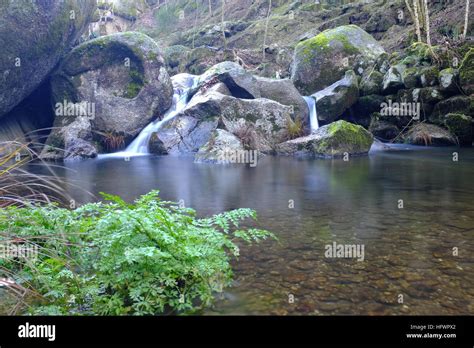 waterfall, river, water, forest, stream Stock Photo - Alamy