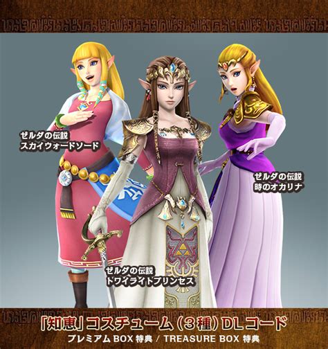 Hyrule Warriors Costume DLC update - Princess Zelda Photo (37362329 ...