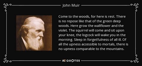 John Muir quote: Come to the woods, for here is rest. There is...