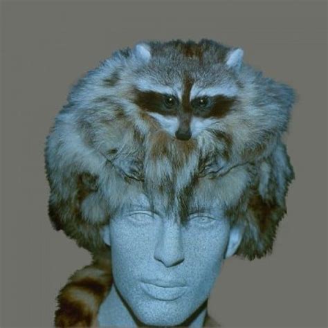 Remembering The Coonskin Cap | hubpages