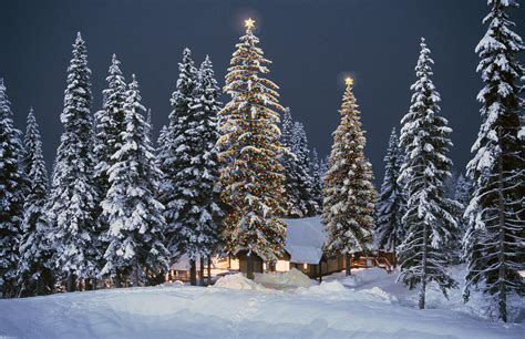 Rocky Mountain Cabin In Snow At Christmas Photograph by Buddy Mays ...