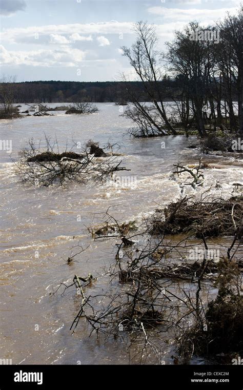 River Spey in spate and flooding at Garmouth, Scotland in April 2010 due to heavy snow melt ...