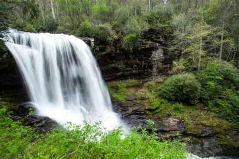 Best Hiking in Highlands NC: Trails, Tips, and More