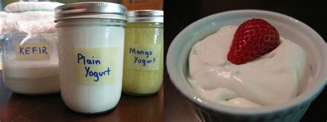 » Coconut Milk Kefir “Yogurt”