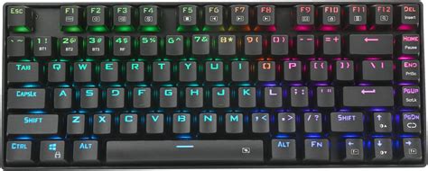 Wireless RGB Mechanical Keyboard, 2.4G Compact Gaming Keyboard with LED ...